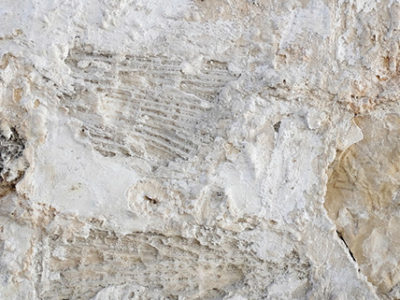 What Kind of Limestone Design Options Can You Get From A Limestone Company