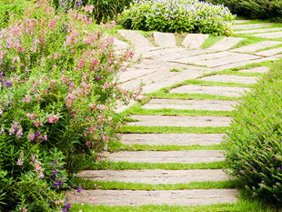 Limestone steps in luscious green garden