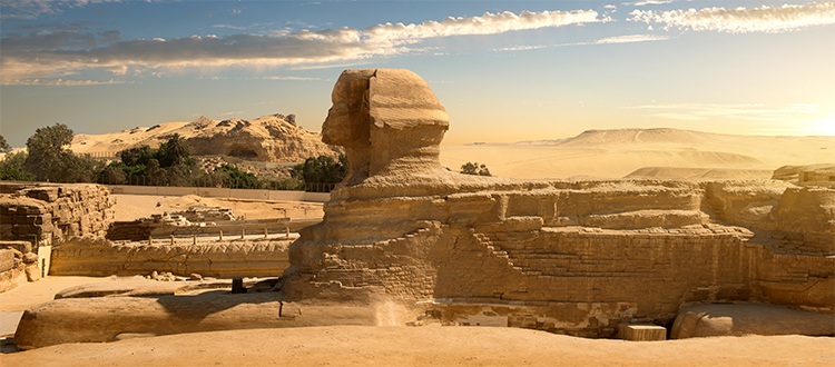 Desert-Sphinx